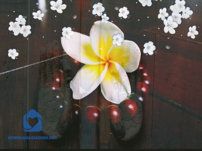 "Hoa rơi cửa Phật" mô tả những cô gái có vẻ đẹp ngoại hình, nhưng vì một số nguyên nhân riêng, họ quyết định từ bỏ hồng trần cuộc sống phồn hoa, nương nhờ cửa Phật.